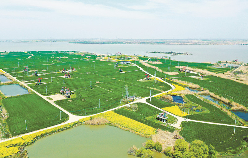 中國石油學會成立碳中和專業委員會：“碳”尋石油化工綠色轉型之路